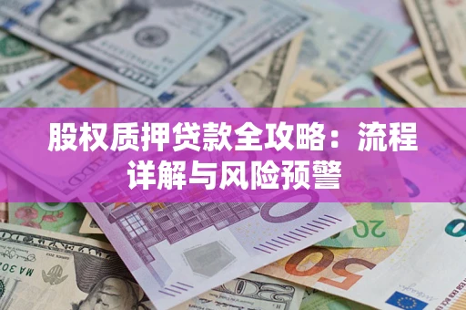 武汉股权质押贷款全攻略：流程详解与风险预警