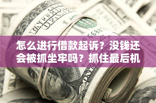 武汉怎么进行借款起诉？没钱还会被抓坐牢吗？抓住最后机会！