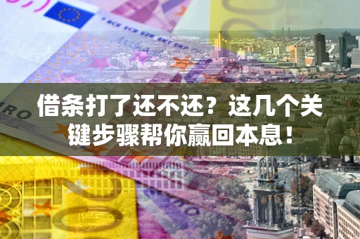 武汉借条打了还不还？这几个关键步骤帮你赢回本息！