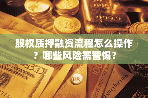 武汉股权质押融资流程怎么操作？哪些风险需警惕？