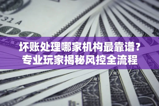 武汉坏账处理哪家机构最靠谱？专业玩家揭秘风控全流程