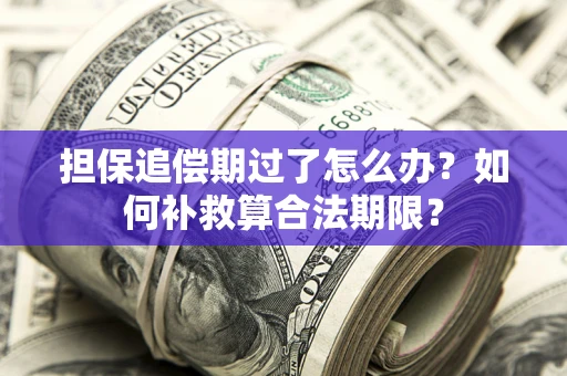 武汉担保追偿期过了怎么办？如何补救算合法期限？