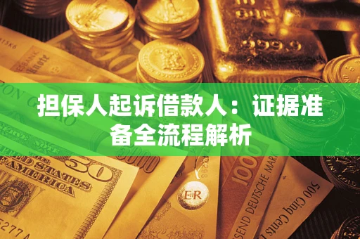 武汉担保人起诉借款人：证据准备全流程解析