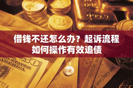 武汉借钱不还怎么办？起诉流程如何操作有效追债