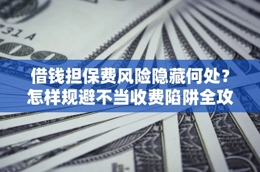 武汉借钱担保费风险隐藏何处？怎样规避不当收费陷阱全攻略！